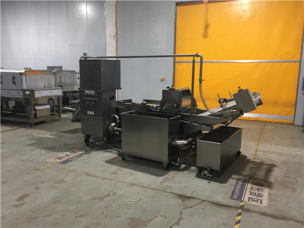 苦菊清洗機(jī)FX-800，采用循環(huán)水系統(tǒng)