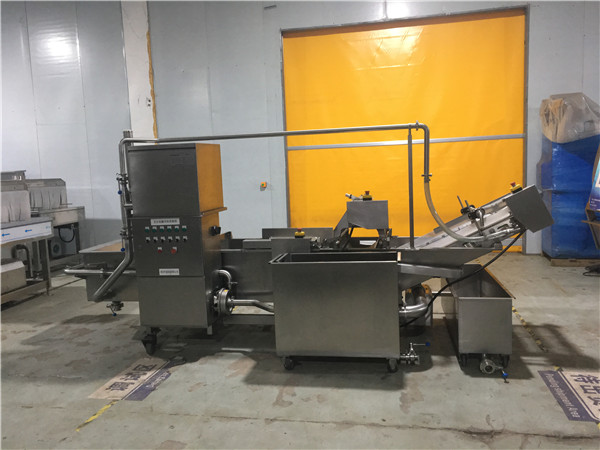 氣泡式蔬菜清洗機，有效清洗，過濾泥沙