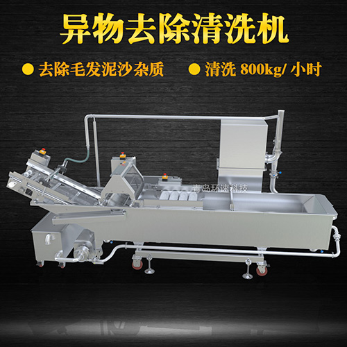 商用專業(yè)果蔬清洗機，氣泡清洗，清洗800kg小時