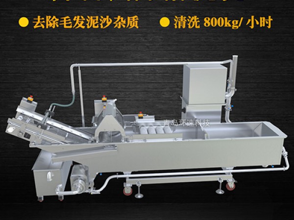 蔬菜清洗機(jī)，氣泡清洗，清洗800kg/小時(shí)